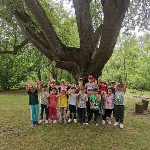 Izleti i rekreativne vrtića Magija-10