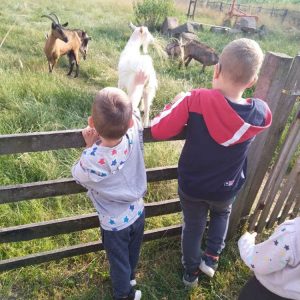 Izleti i rekreativne vrtića Magija-12