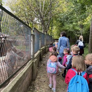 Izleti i rekreativne vrtića Magija-22